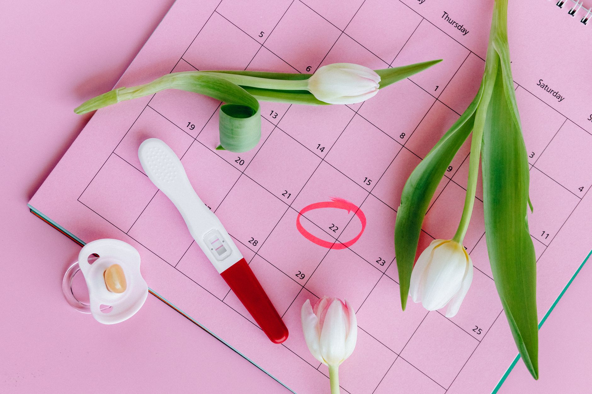 Trying to conceive: the basics